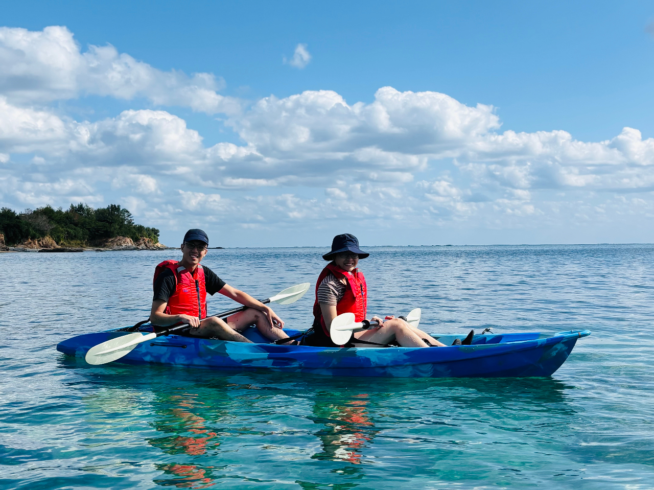 �}���O���[�u�J�k�[�c�A�[�̗l�q��