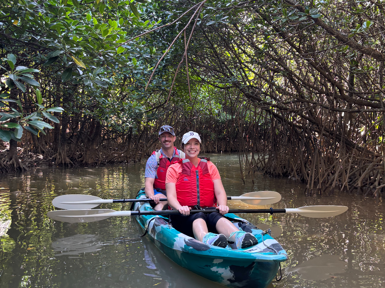 �}���O���[�u�J�k�[�c�A�[�̗l�q