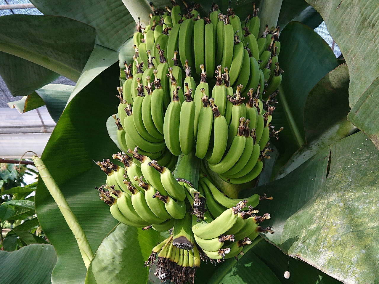 oii͔|Ă܂BŃoiỉԂ܂I