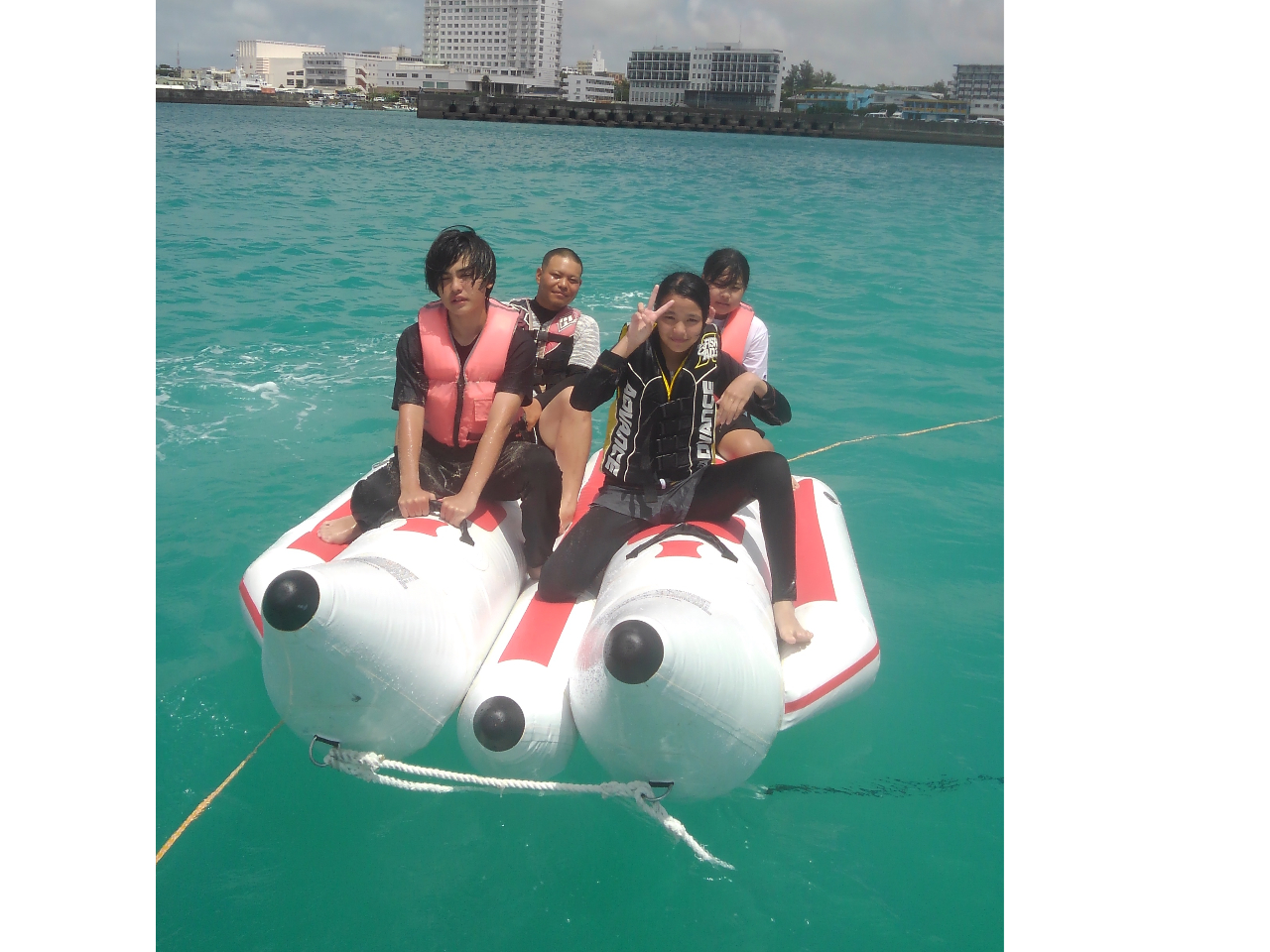 6�l���o�i�i�{�[�g�Ń��j�̕l��