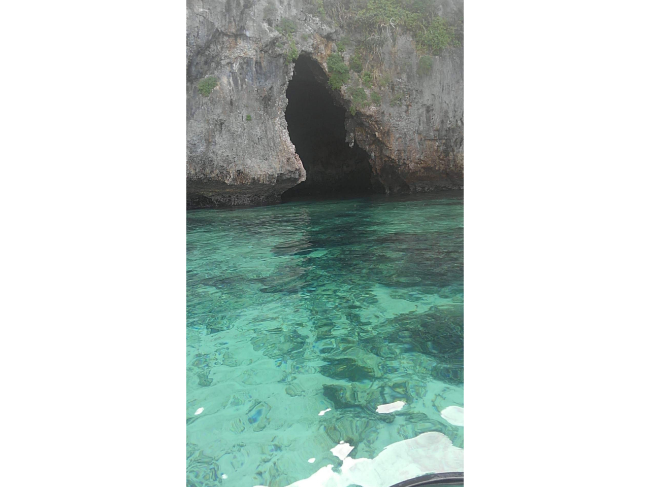 ���A�̓����