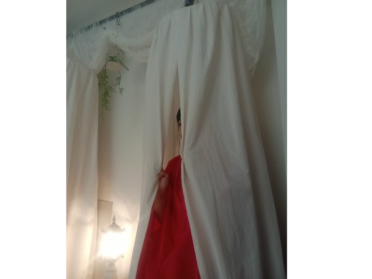 �^�C�R�b�g��100���E�l�������̃n�[�u�e���g�̒��Ŕ_�Ƃ��񂩂璼���̈��S���S�Ȃ�����A�n�[�u�ŏ�����ĉ������B