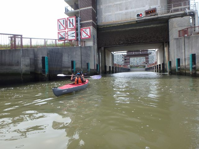 ʒɖ傪オāAʉ߁IǂȌiF܂Ă̂Ay݂łB