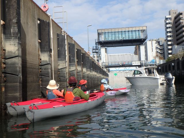 �p�i�}�^�͂��v�킹��悤�ȁA����ɓ����Ă̐��ʒ��������킦�܂��B����ȑ̌����ł����Ⴄ�񂾁`���ƃr�b�N���̌��ł��B