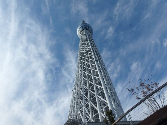 誰よりも低いところから見上げるこの景色は圧巻!