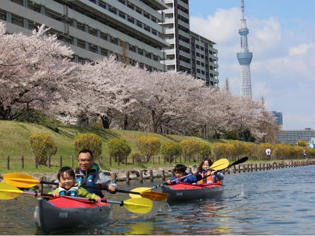3月下旬〜4月上旬はお花見カヌーが楽しめることもあります。