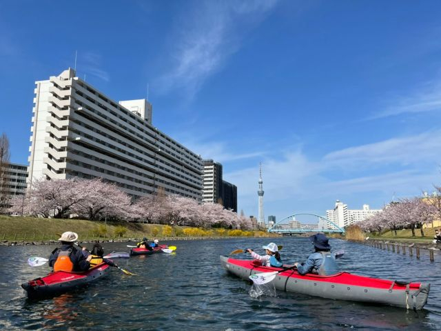 3月下旬〜4月上旬にかけては桜を眺めながらのお花見カヌーが楽しめて大人気です!