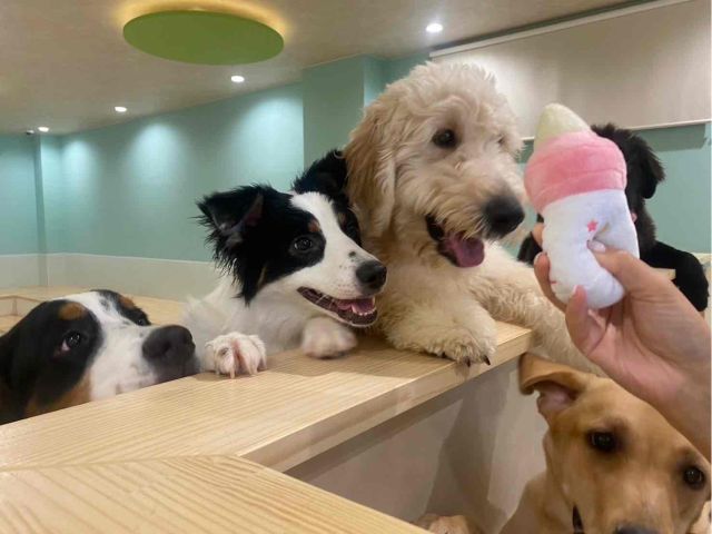 フリースペース中を覗き込み中〜!早くおいで〜!