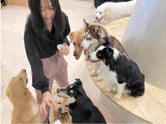 みんなちゃんとお座りしておやつをもらってま〜す!