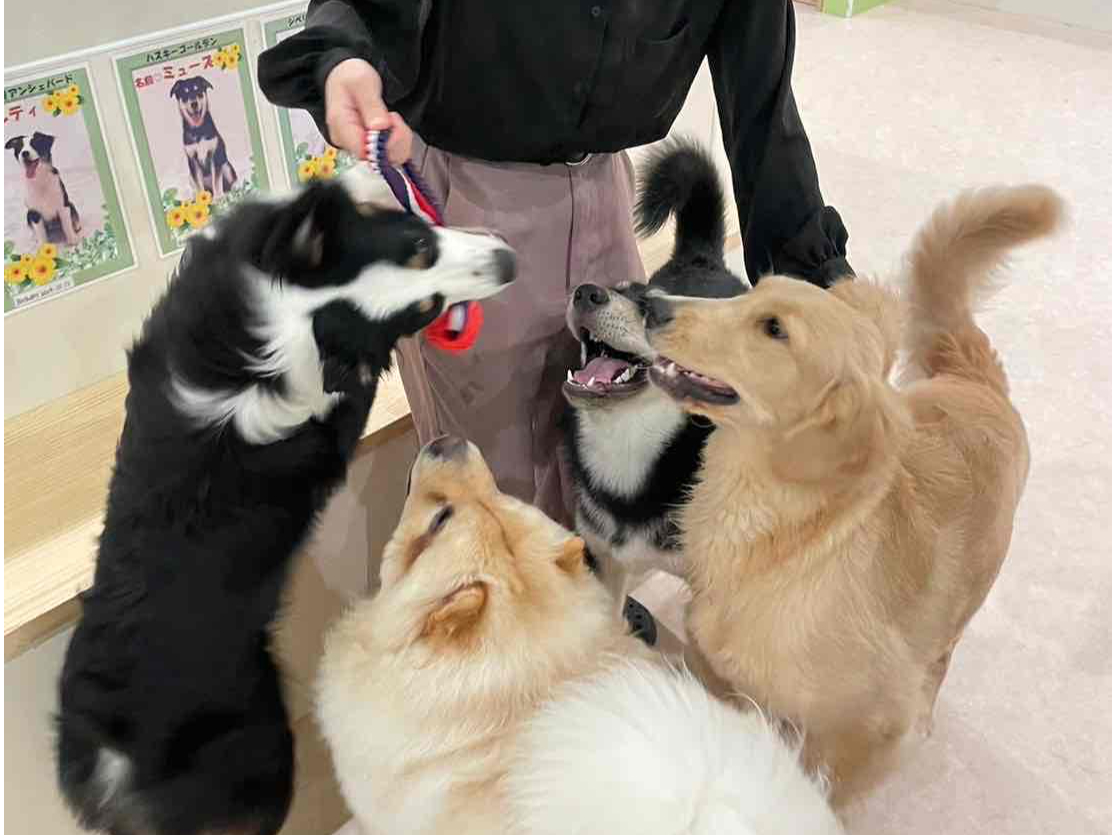 大好きなおもちゃで大はしゃぎ〜