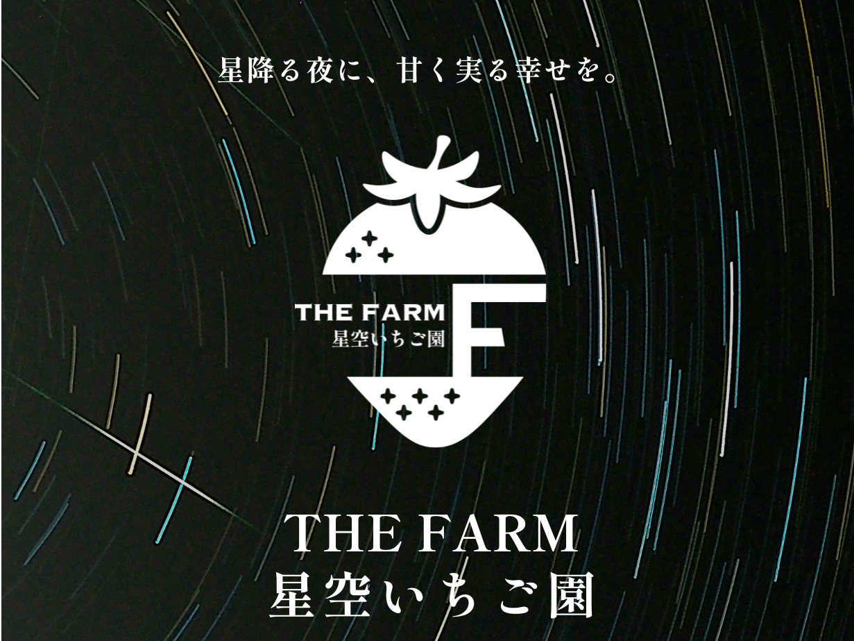 【ナイトいちご狩りプラン】≪60分間食べ放題≫夜空をイメージしたイルミネーション...