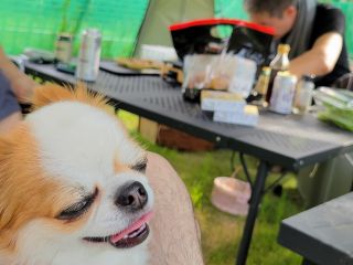 ワンちゃんと一緒に楽しめます。