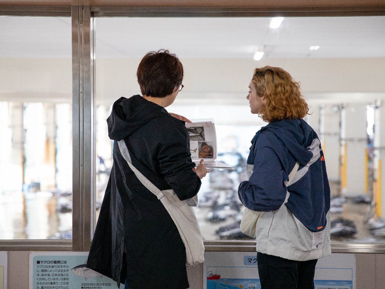 vCx[gcA[Ȃ̂ŁAłKChɎł܂iOO