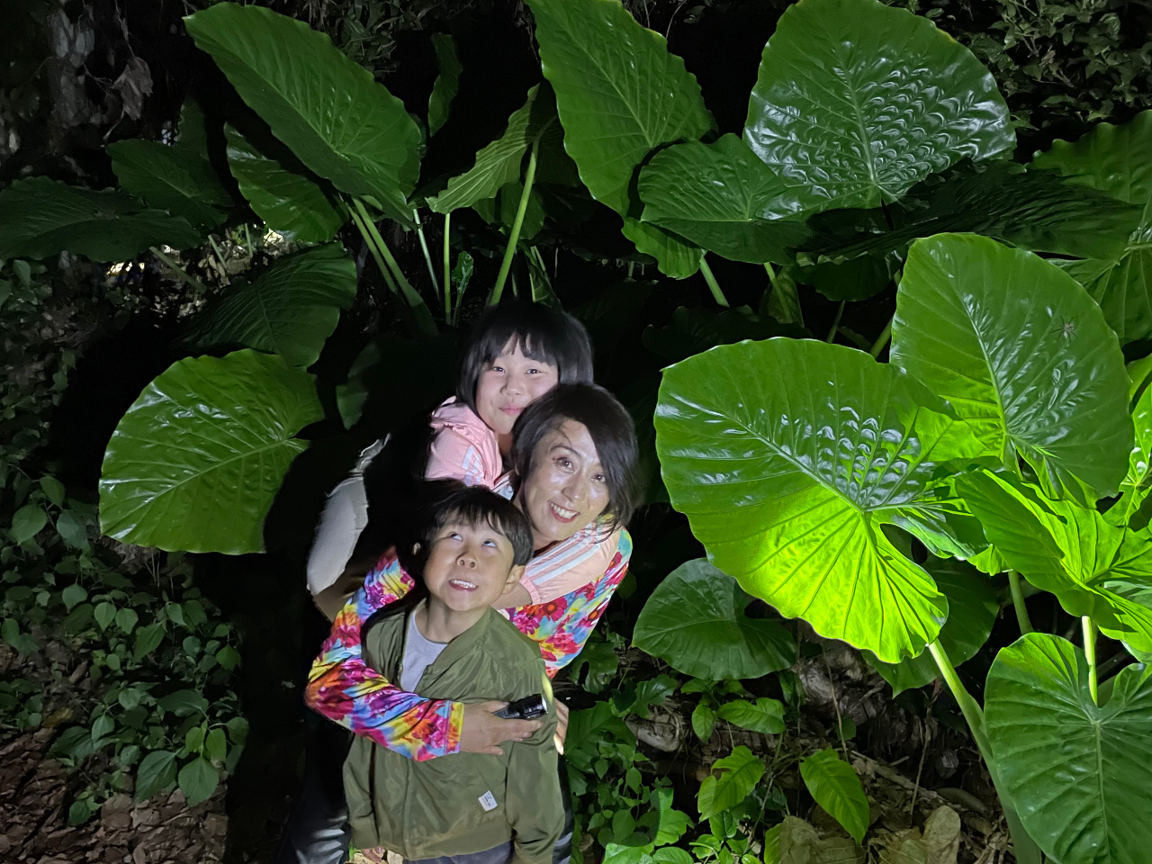 cA[ꏊ͋G߂ɂĕς邽߁As[^[y߂eɁBG߂̎RȂTy߂܂B