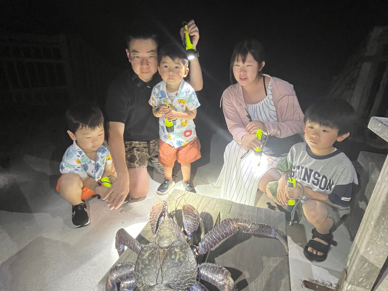 Ȃq܂SĎQOKI ͖̂Ȃ͈͂Ȃ̂ŁA1΂炲Q܂B悯dĂ̂ŁApp}}SłB