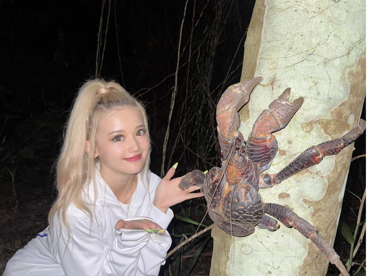 킢ǌAGꂽǓI僄VKjƂ̃hLhL^C͑吷オI