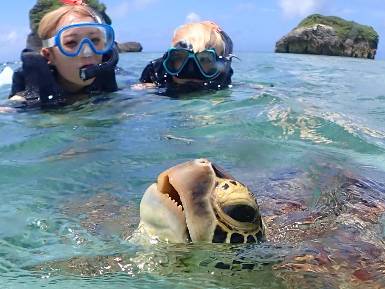 KChJɃT|[ĝŁAE~KƂ̃Vm[PSBpɊopꏏɒ߂΁AʂȎԂLł܂B