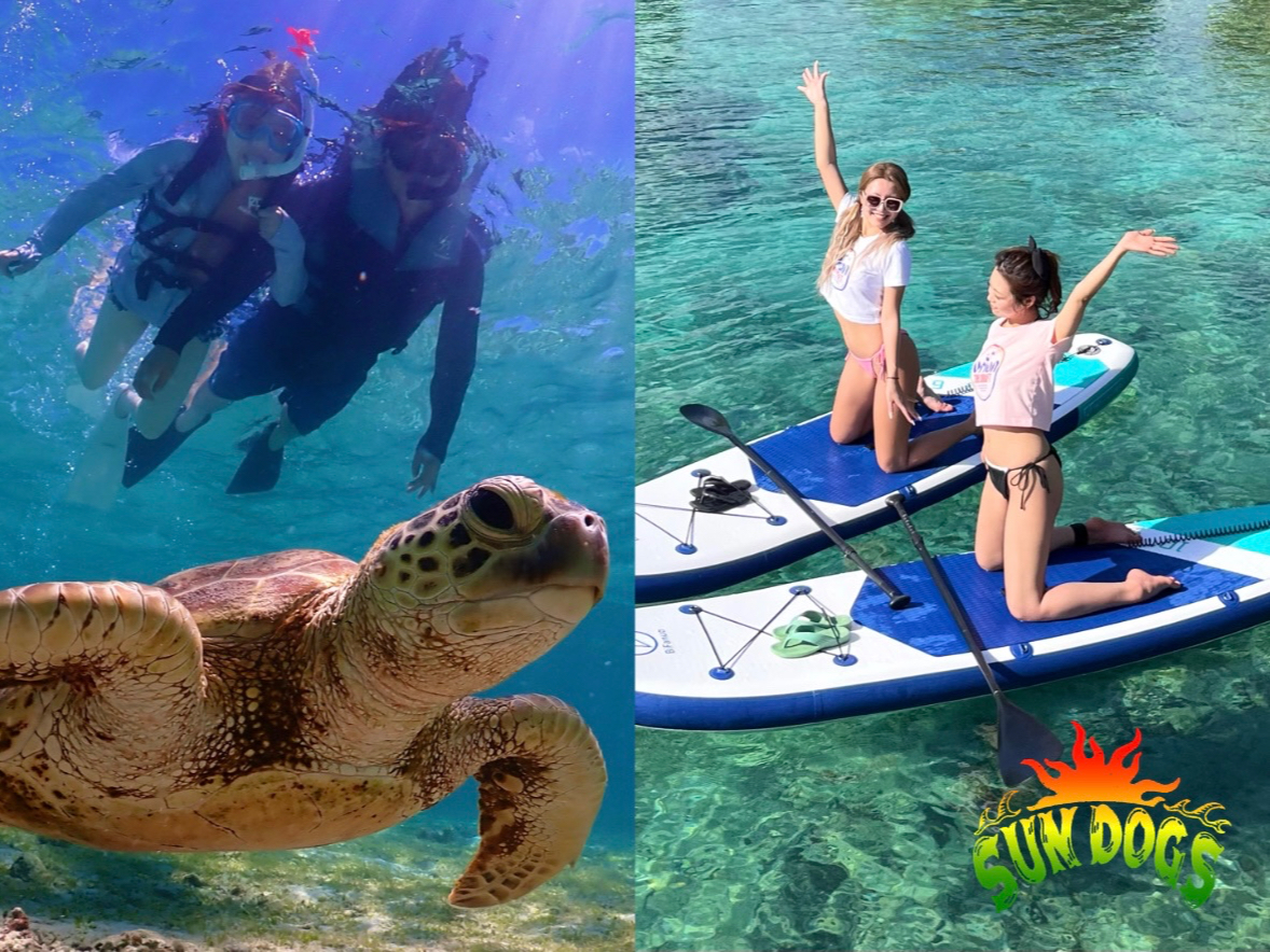 L{Ãu[̊CSUPł̂тN[WOB₩ȐʂɕтȂA厩RSgŊ̎Ԃy݂܂B