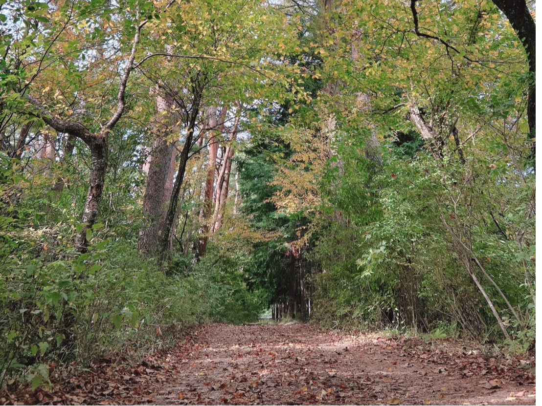 H̍gty݂Ȃ炨UłႢ܂