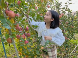 お子様でもご自身でりんご狩りができます♪