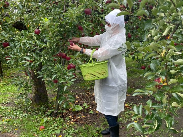 雨の日もOKです! ※雨具はご自身でご準備ください(傘はご遠慮ください)