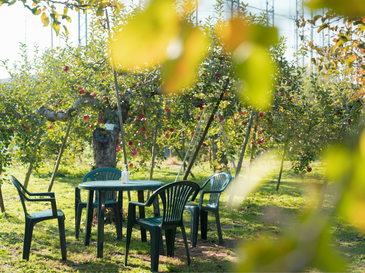 OɃAEghApe[uƃCX̃ZbgpӂĂ܂IsNjbNCły݂