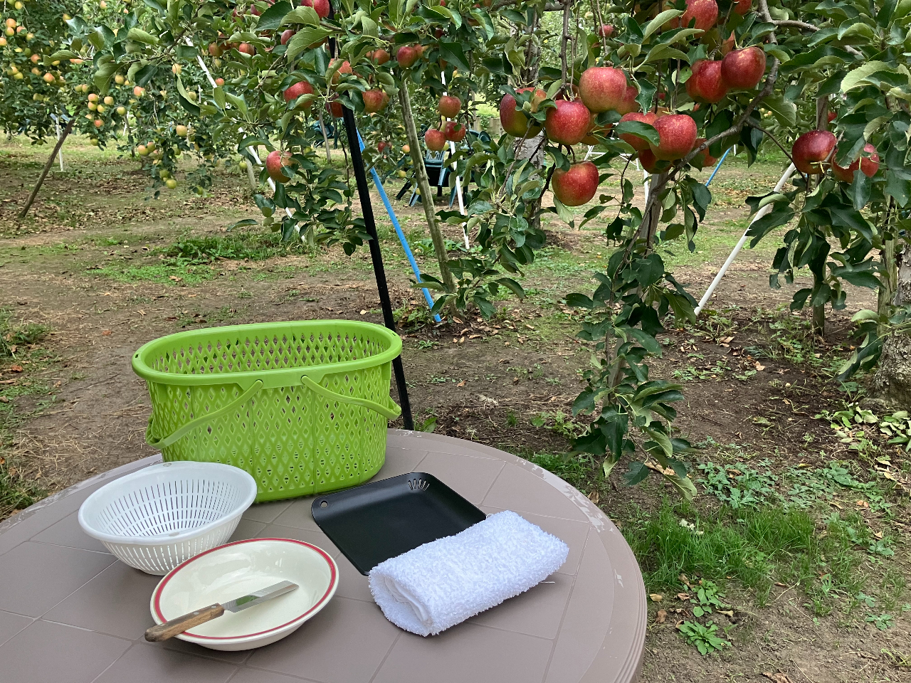 お皿やナイフ、布巾などもご用意しておりますのでお手軽にお越しください♪