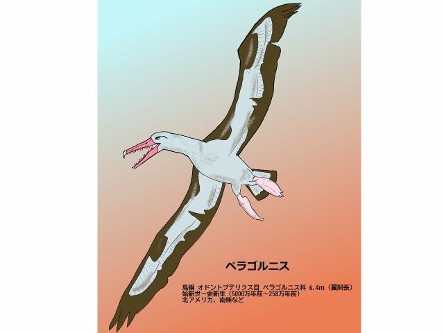 4000万年前に生きていた古代生物たちもご紹介!