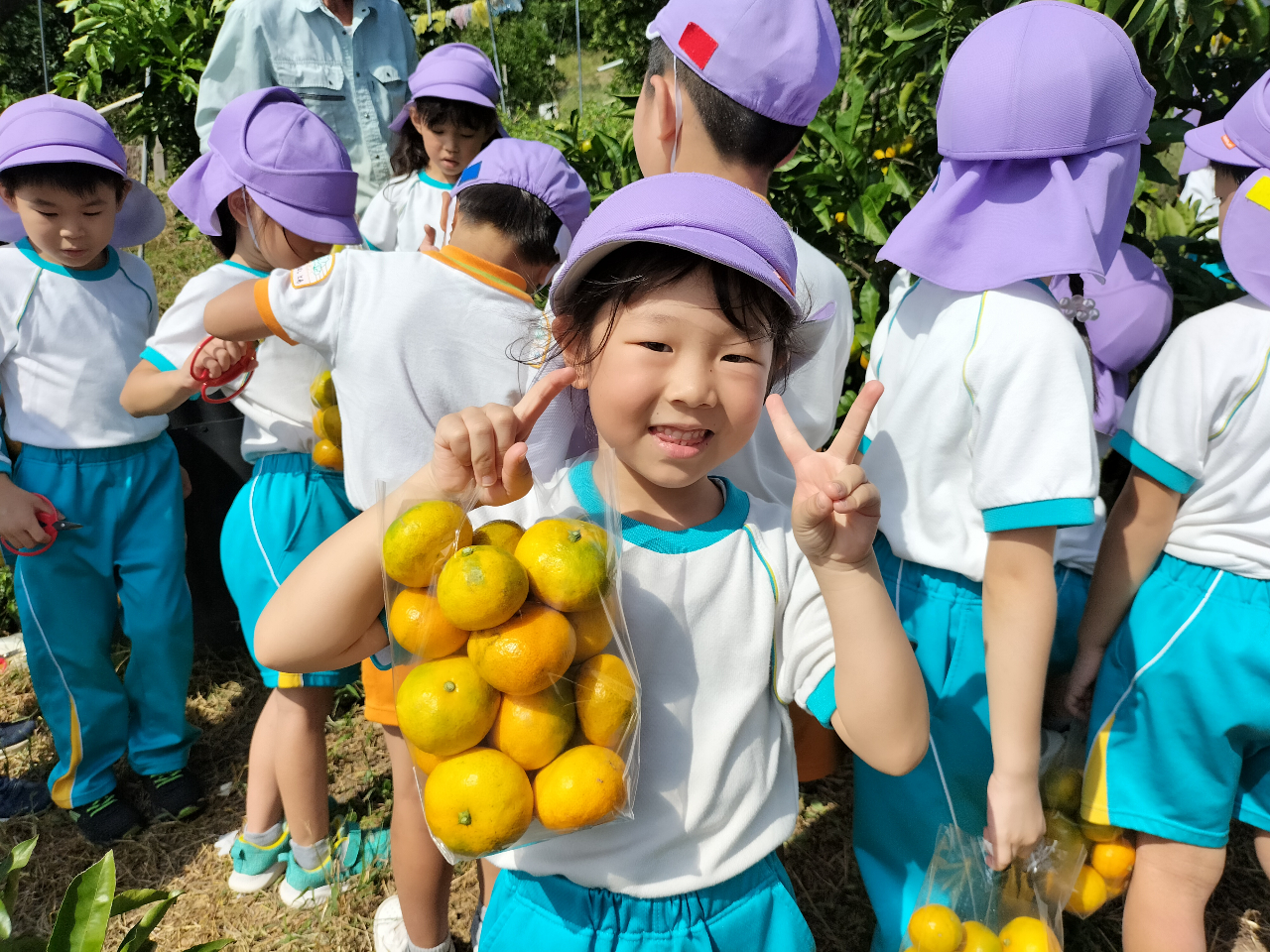 甘いみかんが大好きです!