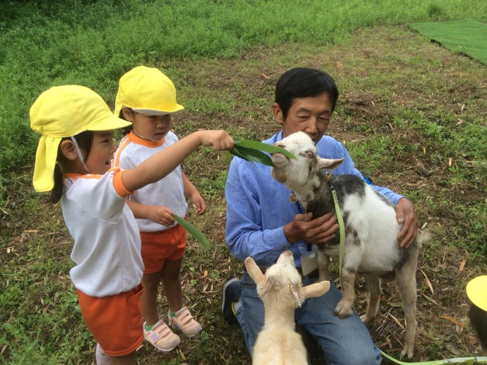 ���M�̂������̌� �B