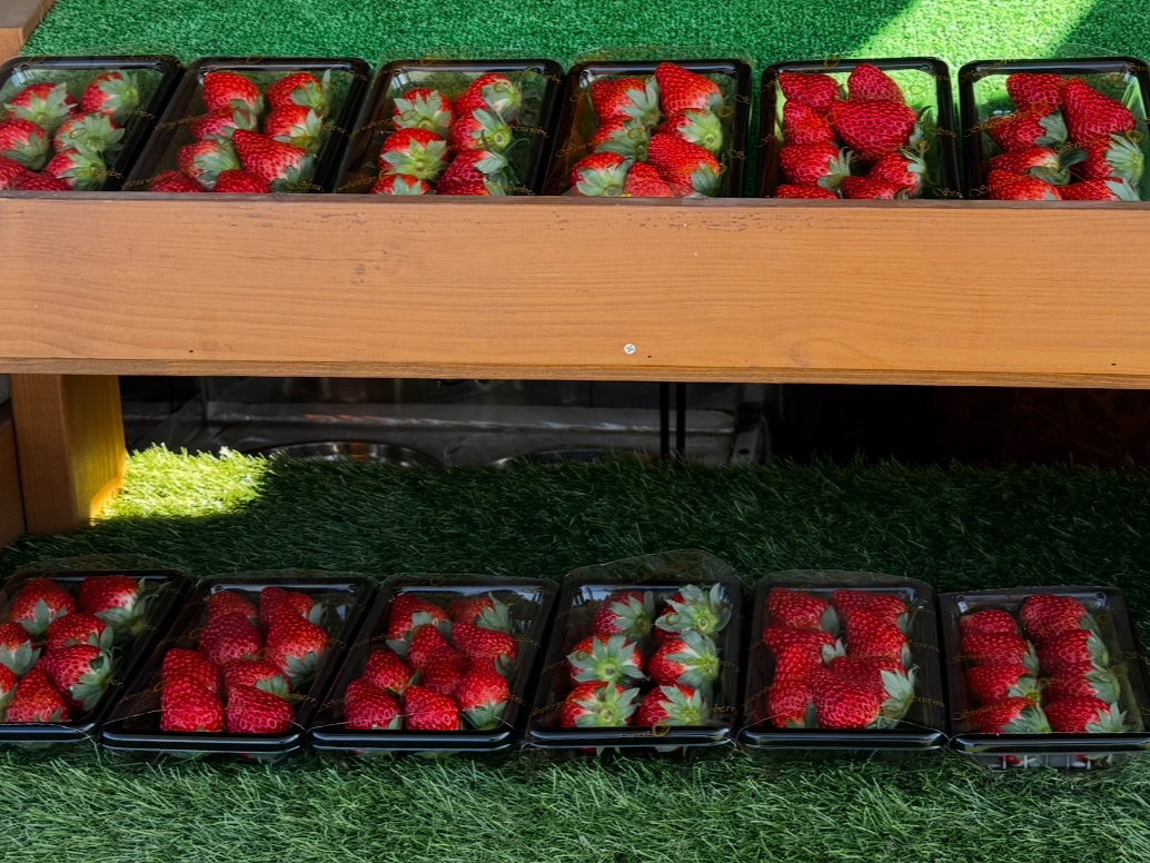 ���y�Y�p�b�N�̔�����I