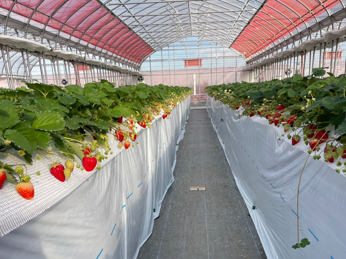 ���ݍ͔|�Ŏ��n���₷�������I�n�E�X���͖������|���Ă��܂�