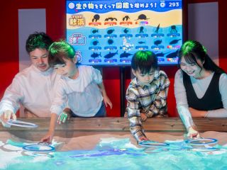 デジタル魚すくいを楽しめる「ちゅら海すくい」。 みんなで沖縄に住む生きものをつかまえよう。