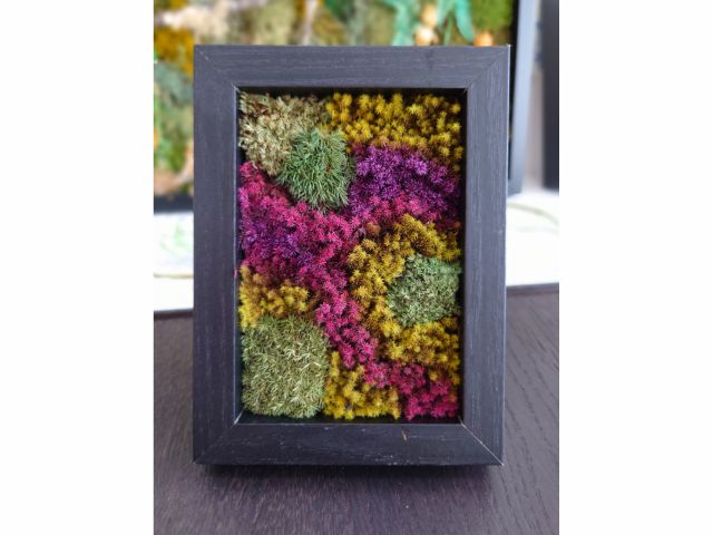 アートフレーム(赤)