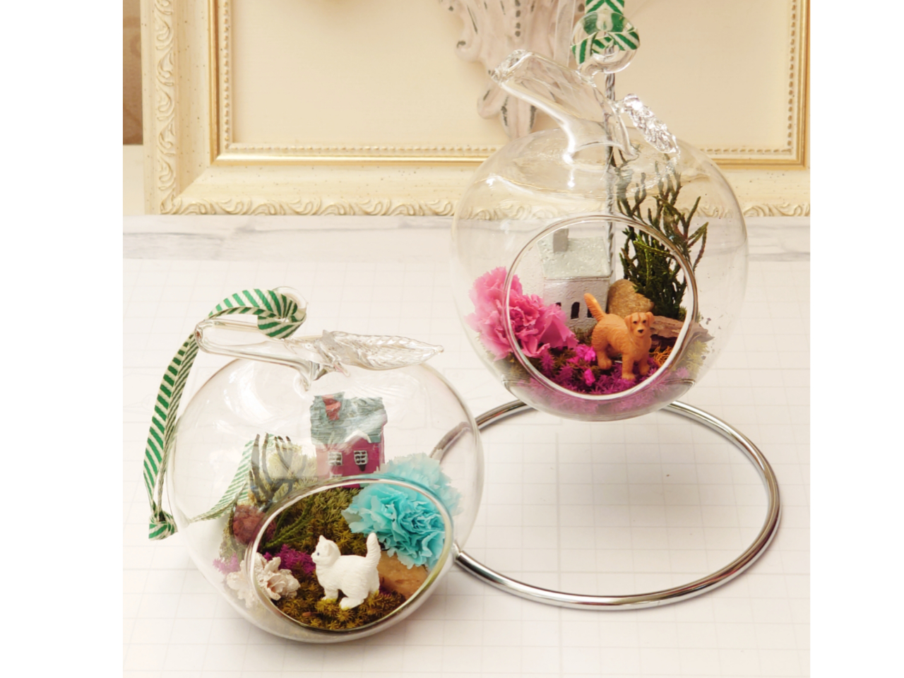 ミニテラリウム見本