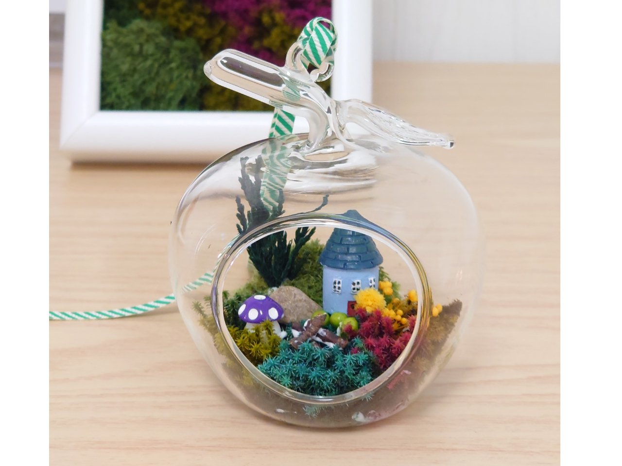 ミニテラリウム作成例