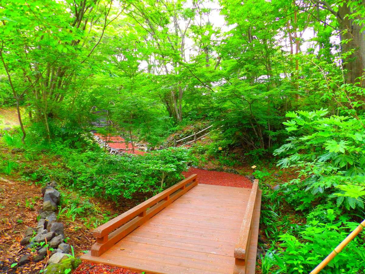 敷地内遊歩道・小さな橋