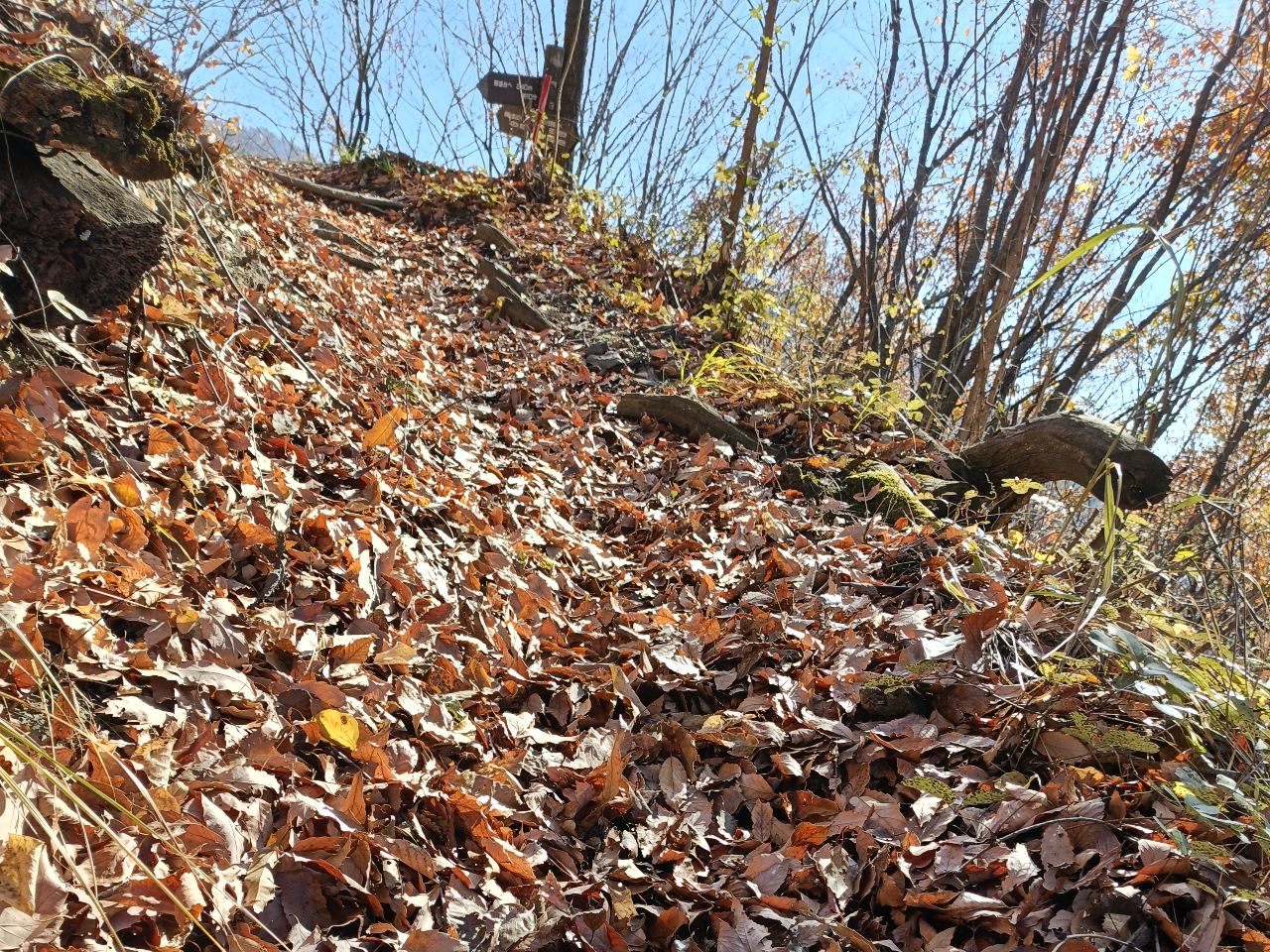 �~�ł������t�łӂ��ӂ��̓�