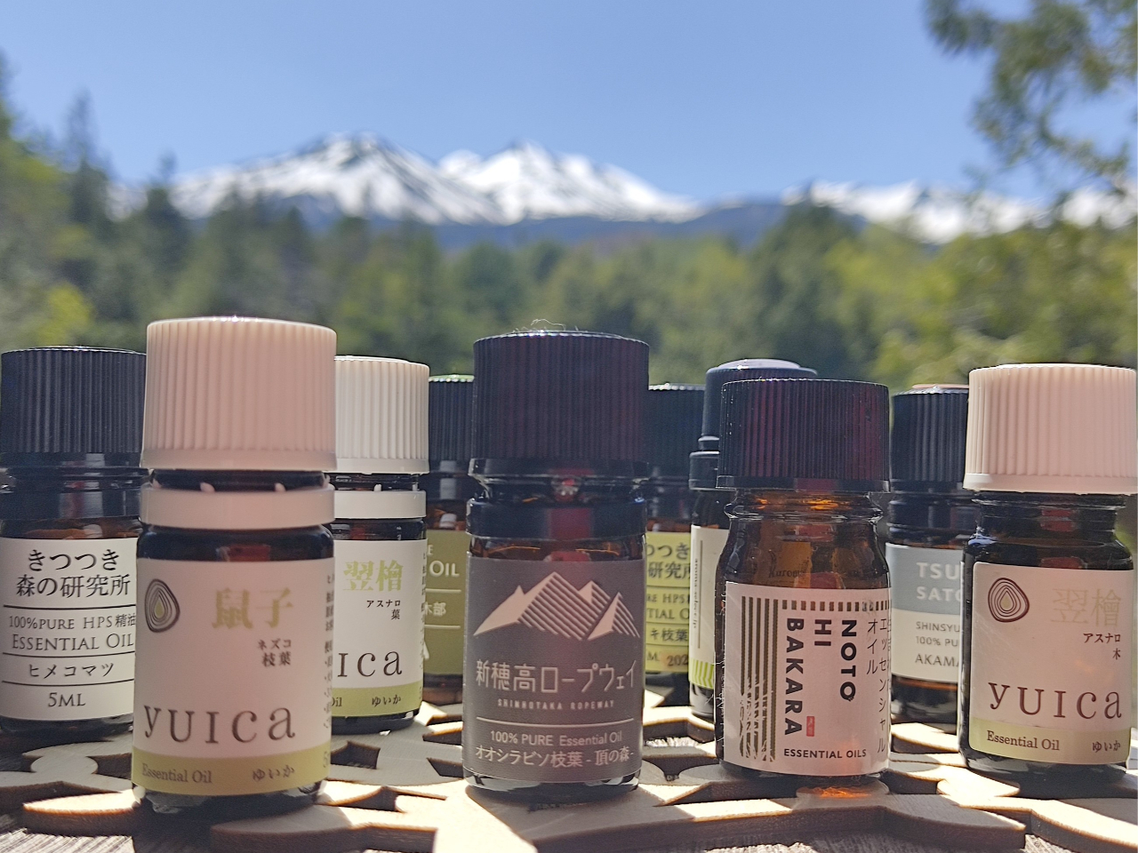 тLƍɂāAɂV̌ЖĂB