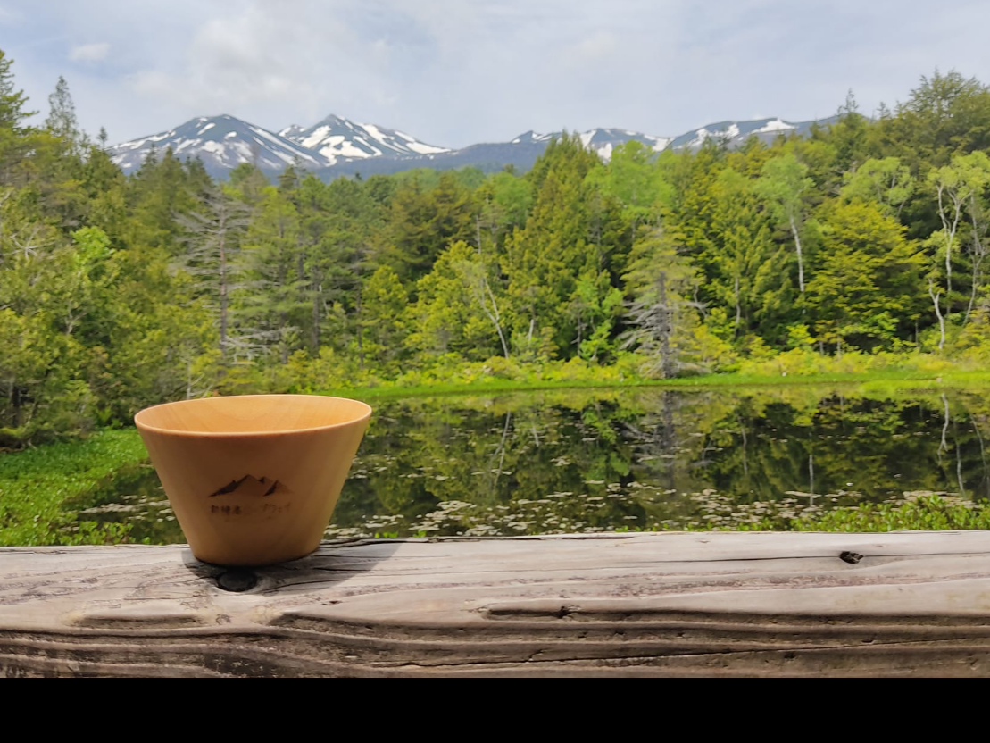 ƍEr̂قƂŖ򑐒^CBYȏƊx𒭂߂Ȃ̈t͊iʁB