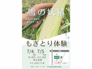 2日間限定開催!