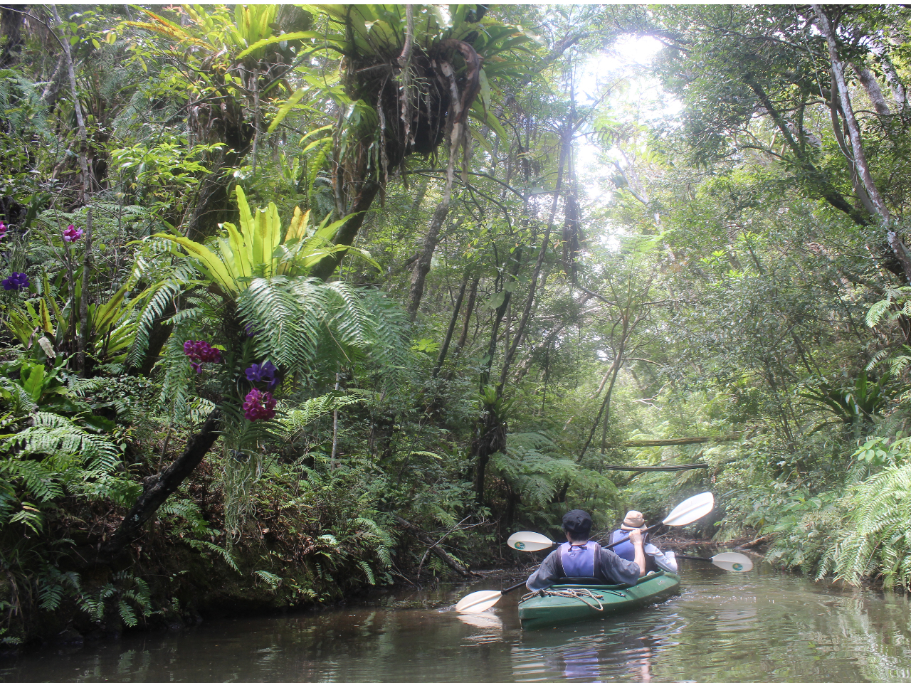 ΂̐XJk[ŒTĎR喞iBliwȏj1,980~@li4Έȏ`wj990~SΖEl݂͕̂s