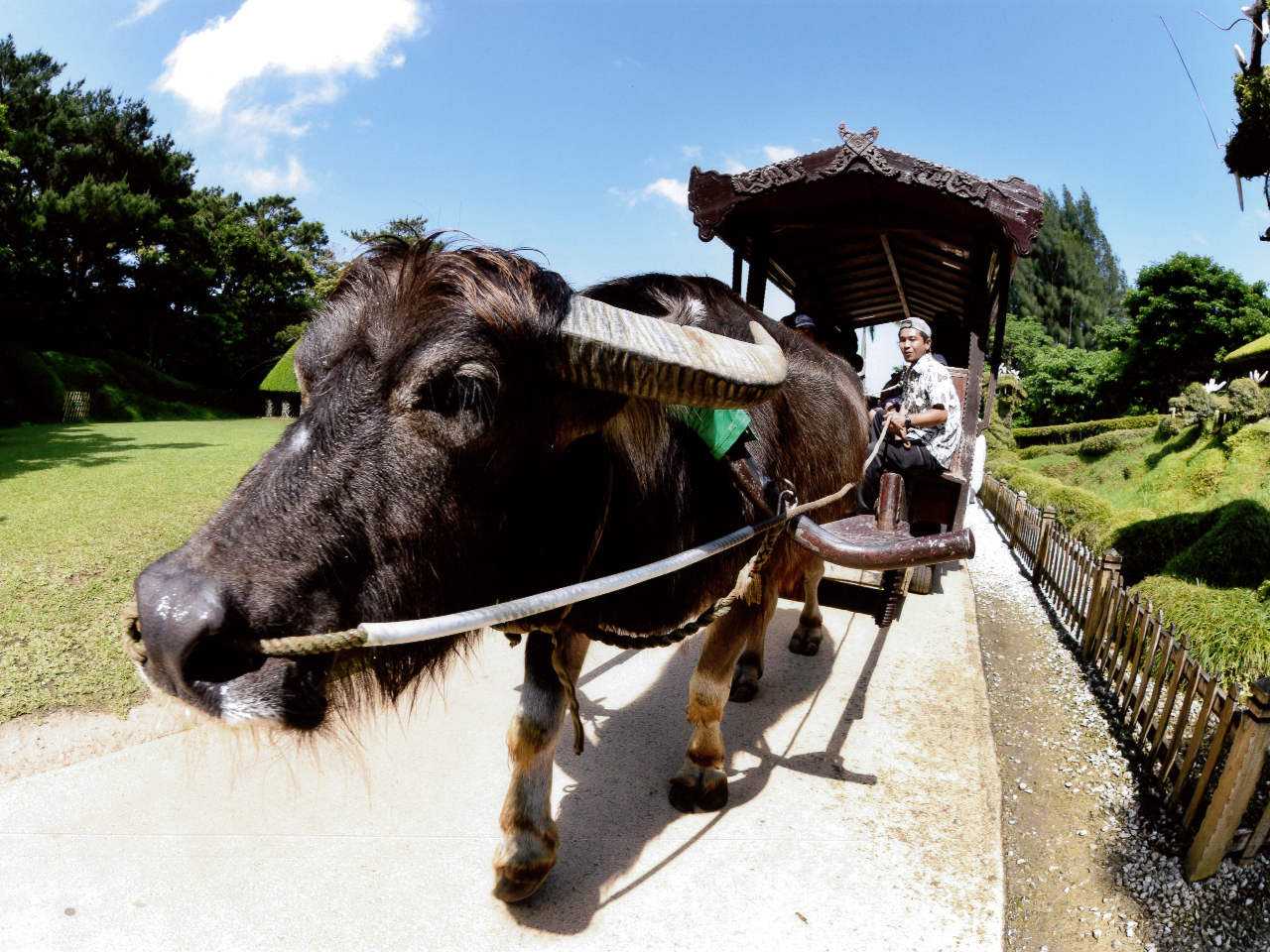 ԂɗhāA΂̉ԂAAƏoɃKChtUցB liwȏj2,200~@liSΈȏ`wj1,100