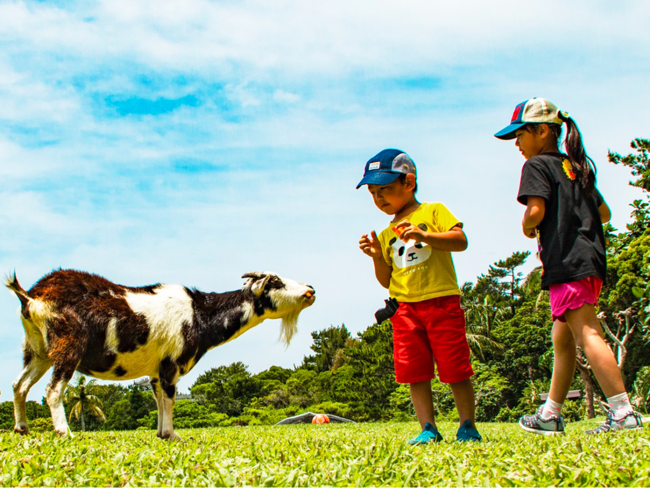 ́h€hƉUł܂B€Ƃ̖̎Ԃ𐥔B