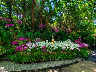 沖縄に語り継がれる守り神「大龍王」の姿の造形が登場。 その周囲を約15,000輪のデンファレで華やかに装飾し、花と伝説、そして森が融合する“癒しの景色”を演出