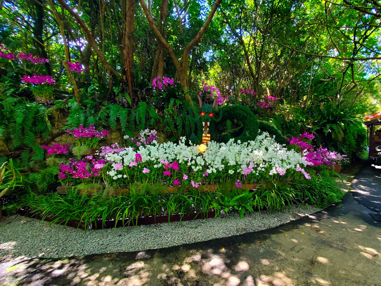 沖縄に語り継がれる守り神「大龍王」の姿の造形が登場。 その周囲を約15,000輪のデンファレで華やかに装飾し、花と伝説、そして森が融合する“癒しの景色”を演出