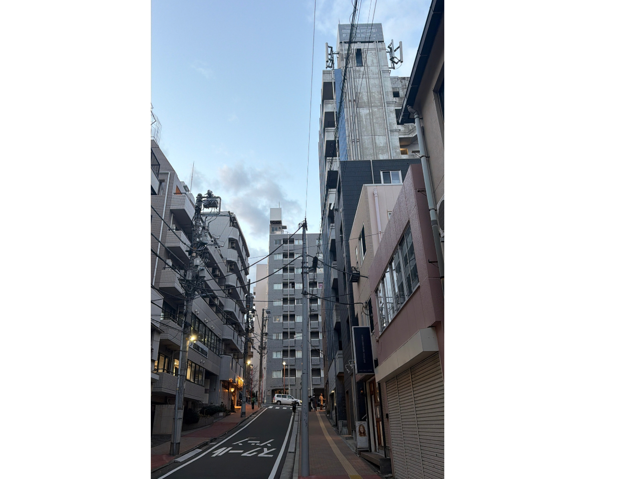 ���w�Z��ʂ肷�����ƑO���͂���Ȍi�F�ł��B���ʂɍg�t��̒ʂ肪�����Ă��܂��B