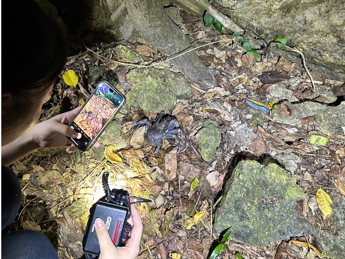 ^ǂ΃VKjB邩IiKۏ؂͂ł܂B\߂Bj