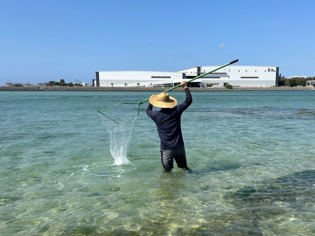 �傫�ȖԂŋ��勛���Ƃ�邩���I�H�i�����������Č����Y�ł��B���܂��ꂽ�琦���I�j