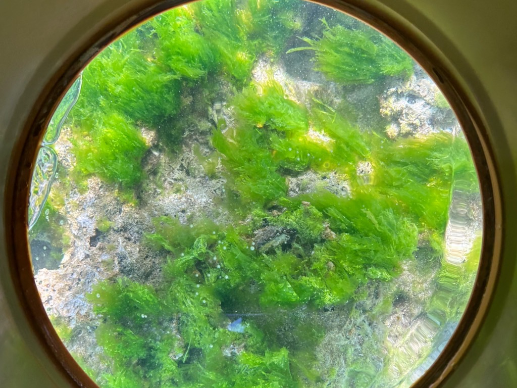 ANAXR[vgΊC̒YɎB܂II